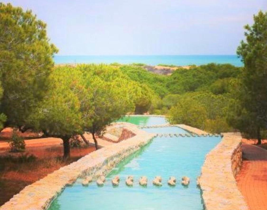 Apartment With Pool & Balcony Less Than 10Min Walk To La Mata Beach! Torrevieja Dış mekan fotoğraf